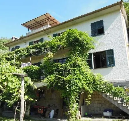 Sunny Holiday On Quiet Organic Farm