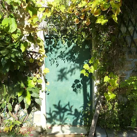 Sunny Holiday On Quiet Organic Farm Apartament Ne