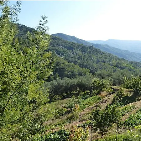 Sunny Holiday On Quiet Organic Farm Apartment